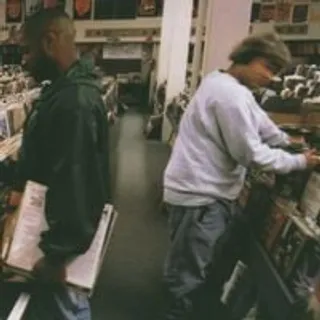 Endtroducing.....
